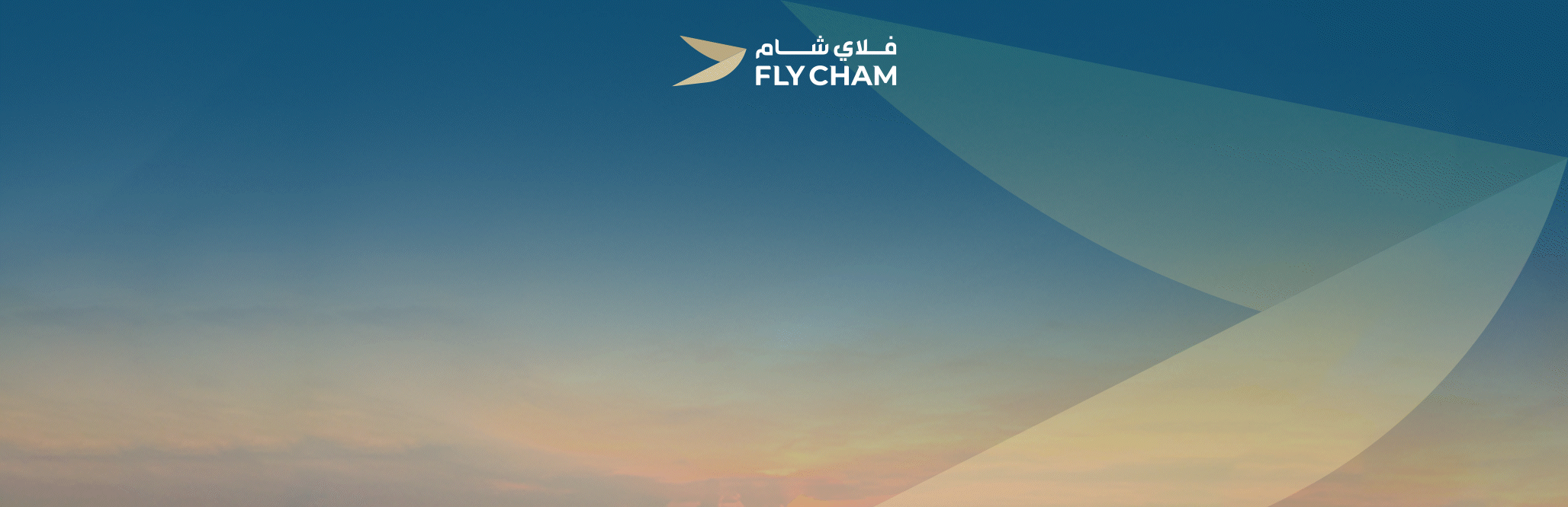 FlyCham Banner